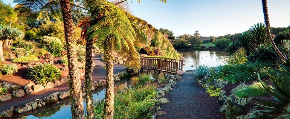 The Gardens Bed And Breakfast Auckland Eksteriør billede